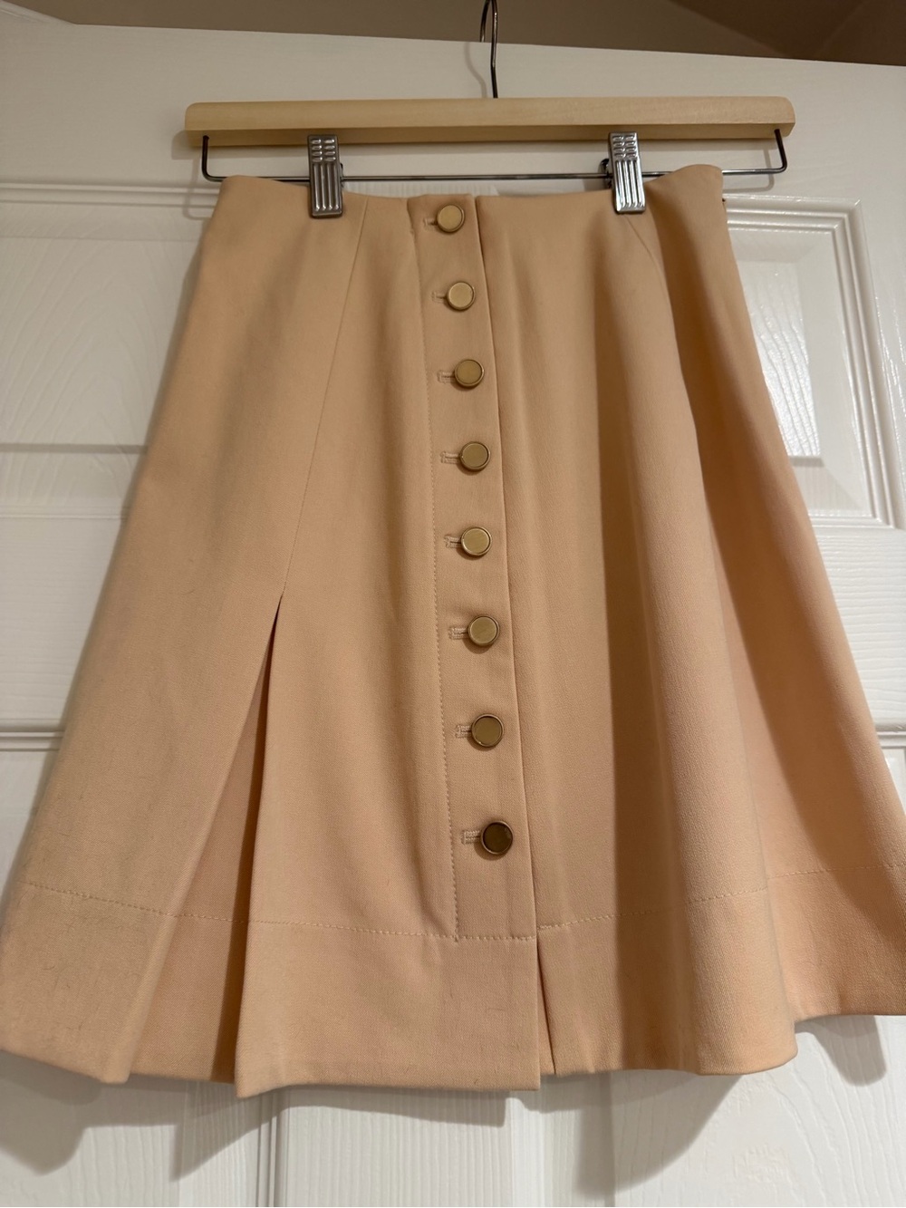 Club Monaco Pleated Button-Front A-Line Skirt